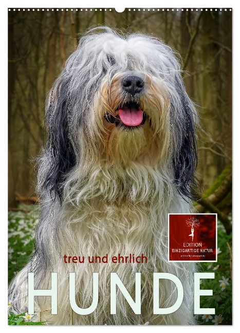 Hunde - treu und ehrlich (Wandkalender 2024 DIN A2 hoch), CALVENDO Monatskalender - Peter Roder