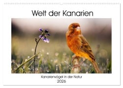 Cover-Bild zum Titel 'Welt der Kanarien (Wandkalender 2026 DIN A2 quer), CALVENDO Monatskalender' von 'AkremaFotoArt AkremaFotoArt'
