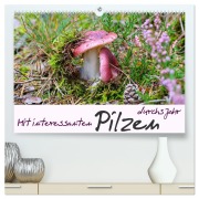 Mit interessanten Pilzen durchs Jahr (hochwertiger Premium Wandkalender 2026 DIN A2 quer), Kunstdruck in Hochglanz - LianeM LianeM