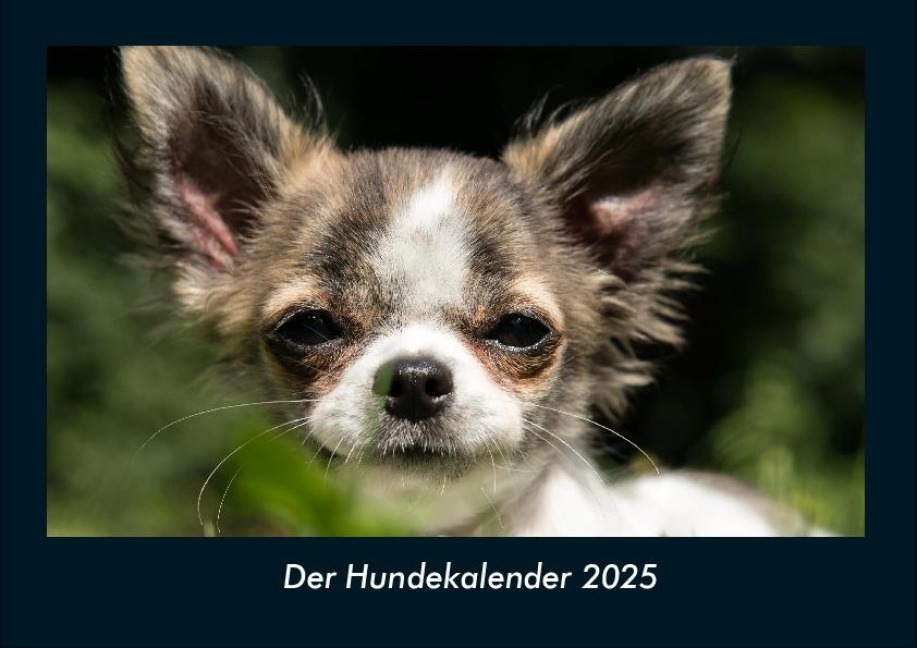Der Hundekalender 2025 Fotokalender DIN A4 - Tobias Becker