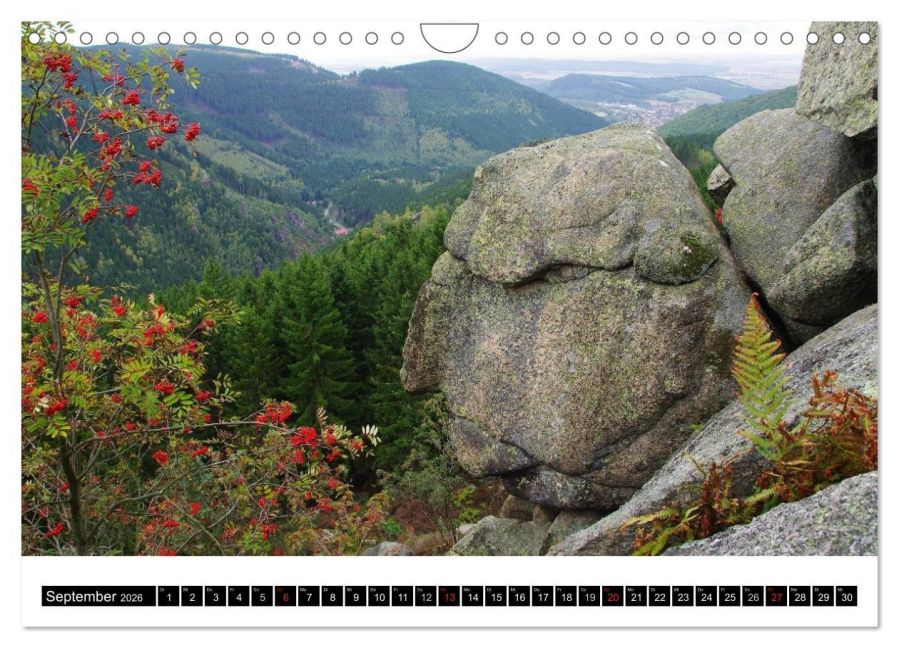 InsideView 14