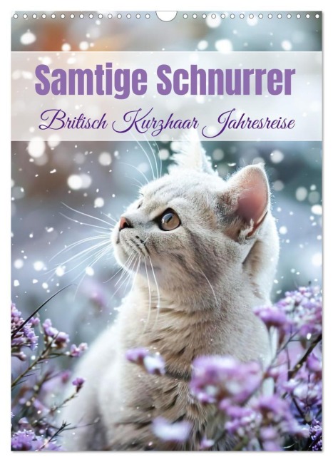 Samtige Schnurrer (Wandkalender 2026 DIN A3 hoch), CALVENDO Monatskalender - Ally Bee