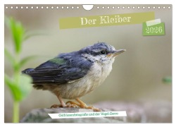 Cover-Bild zum Titel 'Der Kleiber - Ostfriesenfotografie und der Vogel-Zorro (Wandkalender 2026 DIN A4 quer), CALVENDO Monatskalender' von 'Christina Worch - Ostfriesenfotografie'