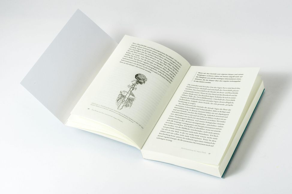 InsideView 6
