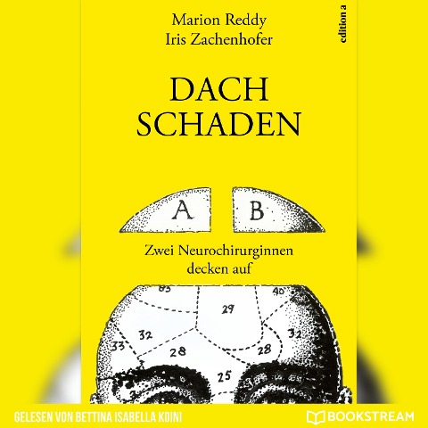 Dachschaden - Marion Reddy, Iris Zachenhofer