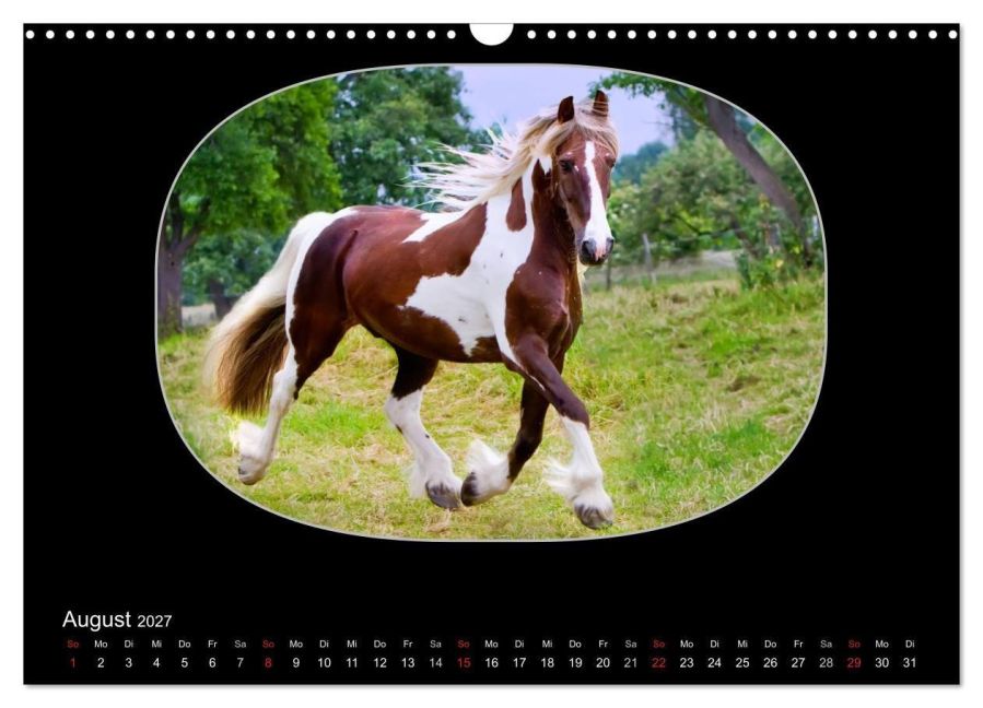 InsideView 13