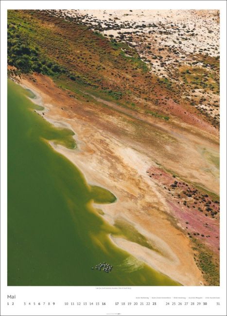 InsideView 5