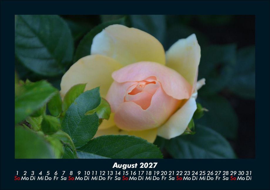 InsideView 12
