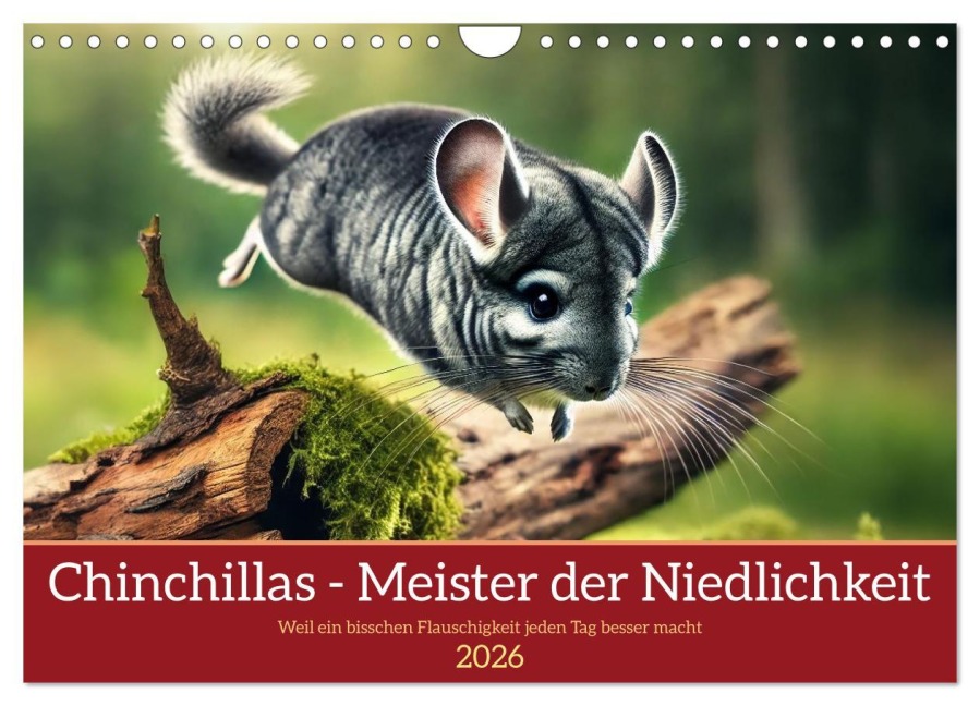 Chinchillas - Meister der Niedlichkeit (Wandkalender 2026 DIN A4 quer), CALVENDO Monatskalender - Kerstin Waurick