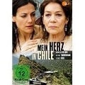Cover-Bild zum Titel 'Mein Herz in Chile' von 'Jörg Grünler, Kathrin Richter, Andrea Stoll, Marius Lange'