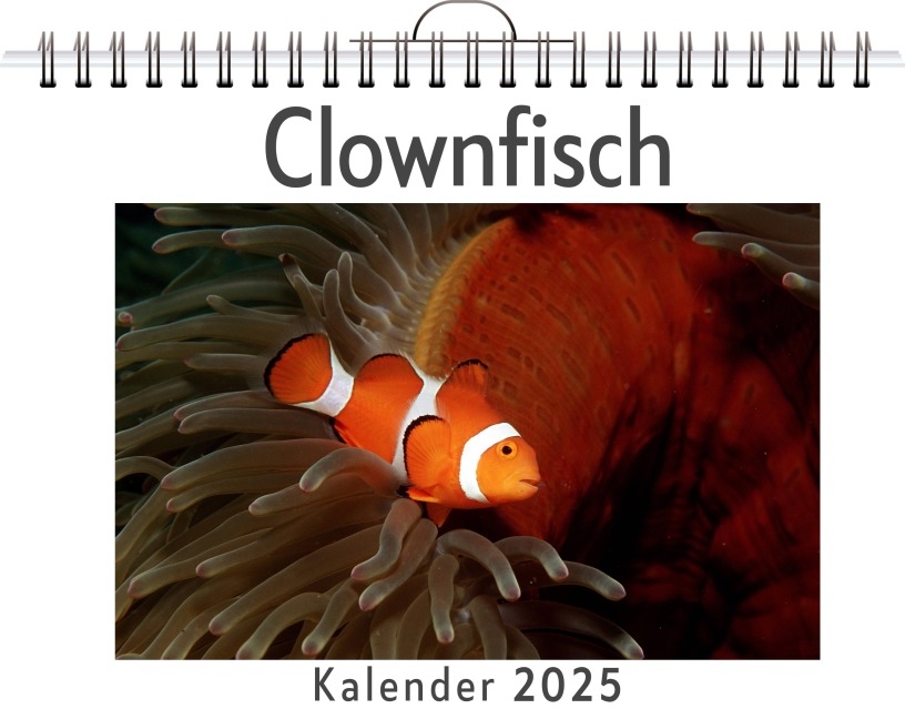 Clownfisch - Julia Möller