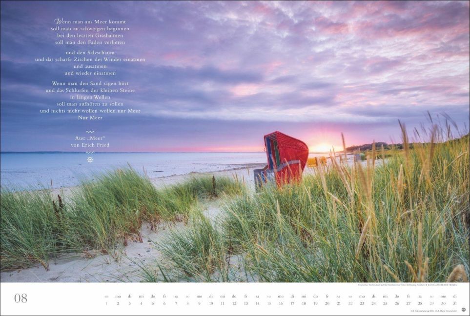 InsideView 8