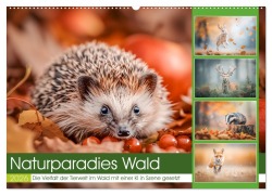 Cover-Bild zum Titel 'Naturparadies Wald (Wandkalender 2026 DIN A2 quer), CALVENDO Monatskalender' von 'Steffen Gierok-Latniak'