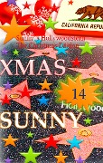 Sunny's Hollywoodstern The Christmas Edition - Nick Living