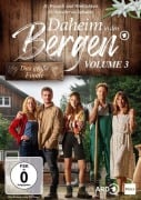 Daheim in den Bergen,Vol. 3 - Daheim in den Bergen