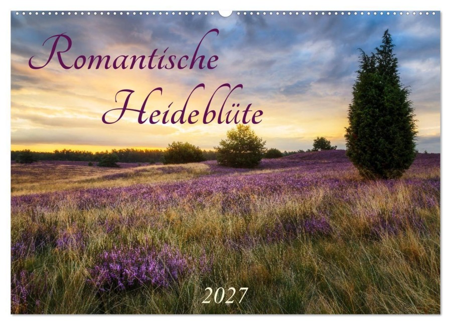 Romantische Heideblüte (Wandkalender 2027 DIN A2 quer), CALVENDO Monatskalender - Daniela Beyer (Moqui)