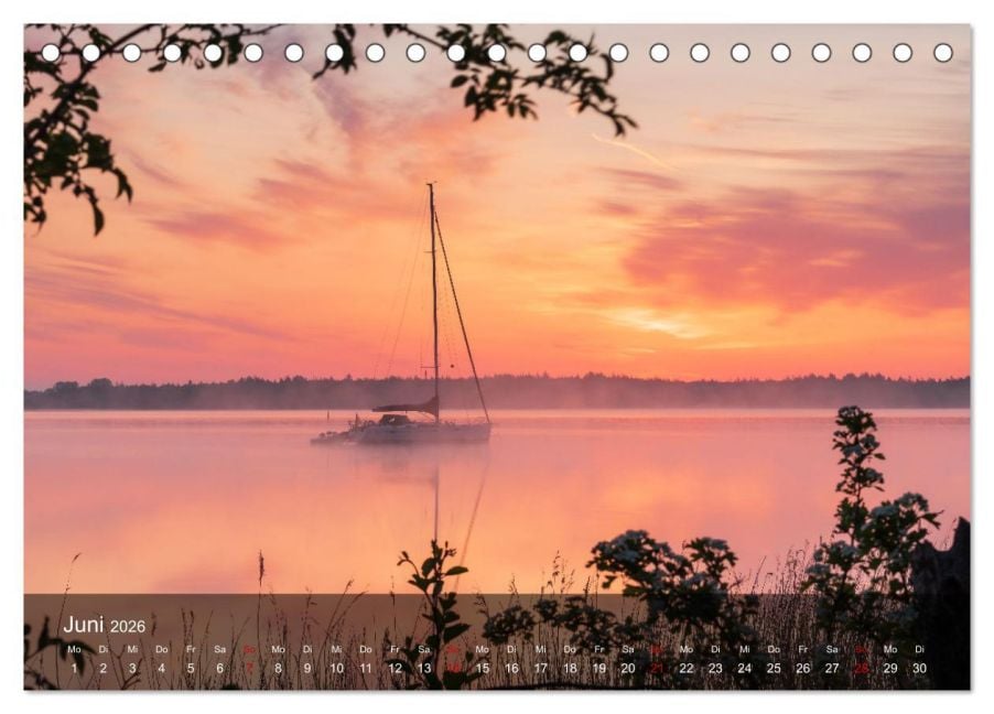 InsideView 11