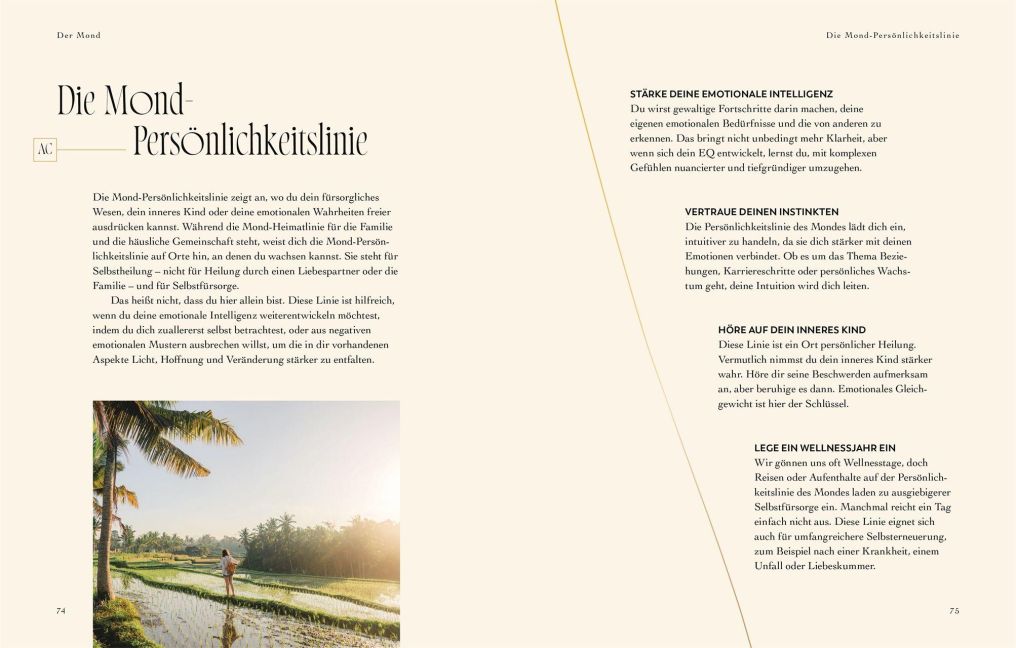 InsideView 6