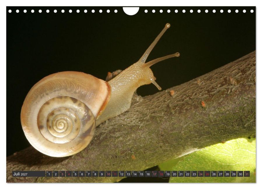 InsideView 12