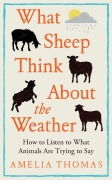 Cover-Bild zum Titel 'What Sheep Think About the Weather' von 'Amelia Thomas'