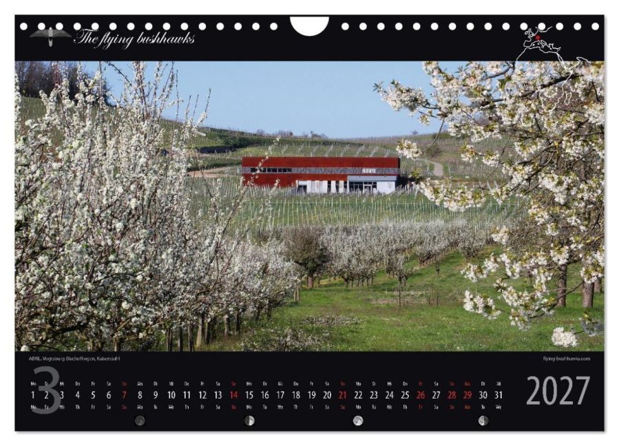 InsideView 8