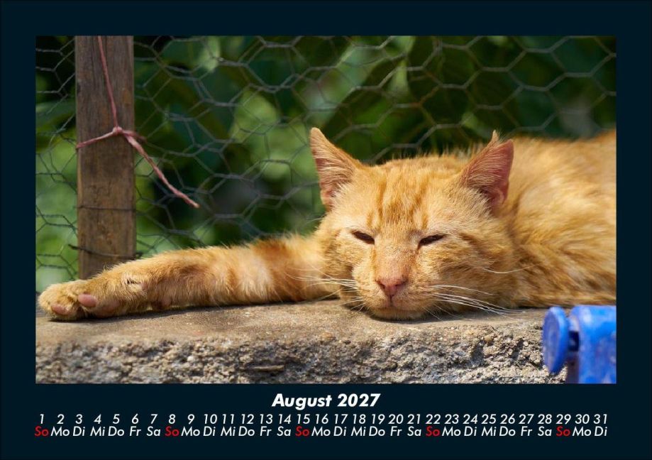 InsideView 12