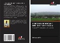 Cover-Bild zum Titel 'L'OROMO ORIENTALE NEL XIX E XX SECOLO' von 'Ibsa Ahmed'