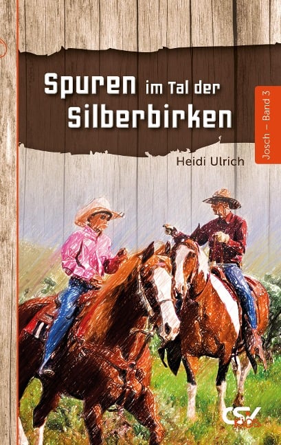 Spuren im Tal der Silberbirken - Heidi Ulrich
