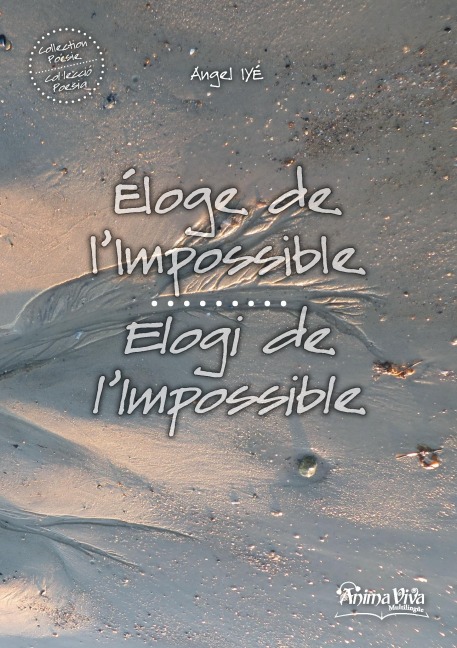 Eloge de l'impossible / Elogi de l'impossile - Angel Iyé