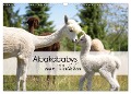 Alpakababys zum Verlieben (Wandkalender 2024 DIN A3 quer), CALVENDO Monatskalender - Heidi Rentschler