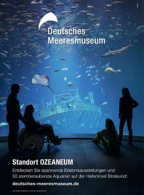 InsideView 11