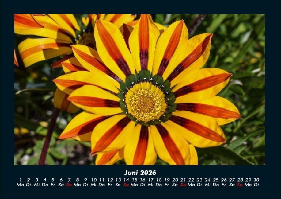 InsideView 10