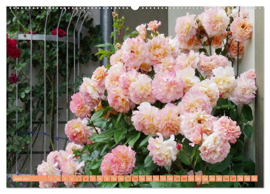 InsideView 11