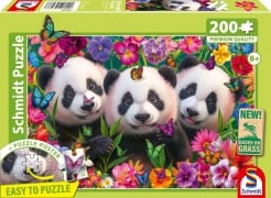 Cover-Bild zum Titel 'Panda-Trio' von ''