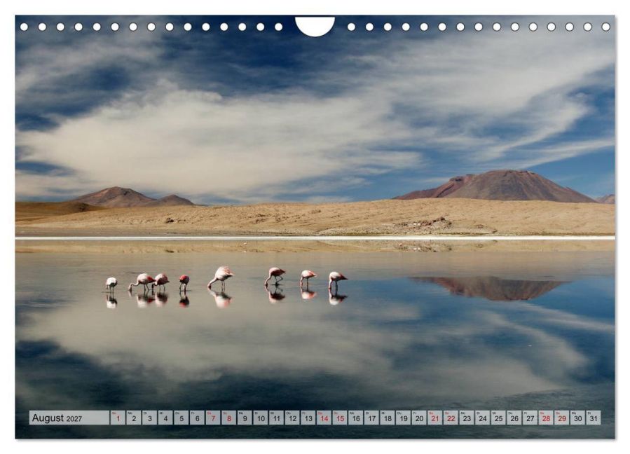 InsideView 13