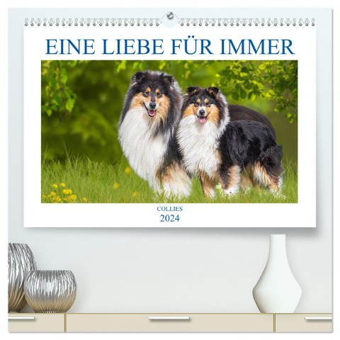 Eine Liebe für immer - Collies (hochwertiger Premium Wandkalender 2024 DIN A2 quer), Kunstdruck in Hochglanz - Sigrid Starick