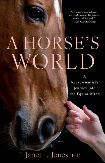 A Horse's World - Janet L Jones