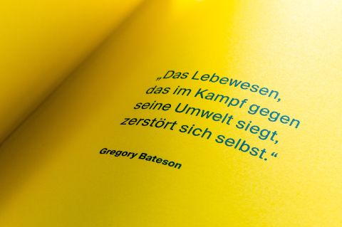 InsideView 2