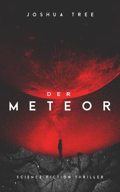 Der Meteor - Joshua Tree