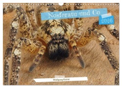 Cover-Bild zum Titel 'Nosferatu und Co. (Wandkalender 2026 DIN A3 quer), CALVENDO Monatskalender' von 'Wolfgang Kairat'