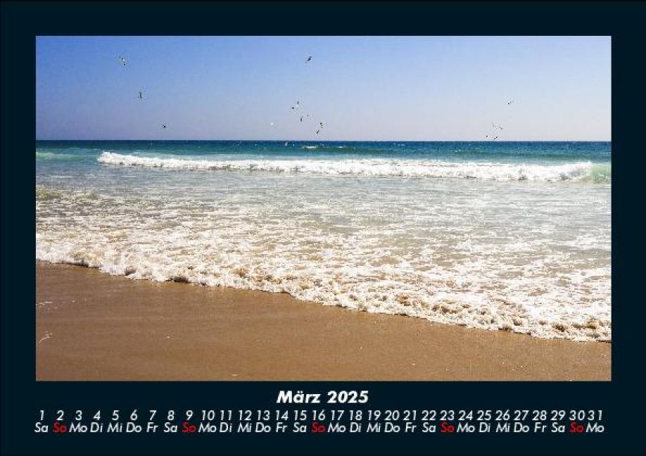 InsideView 7