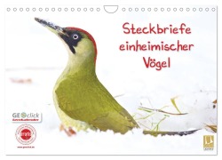 Cover-Bild zum Titel 'Steckbriefe einheimischer Vögel (Wandkalender 2026 DIN A4 quer), CALVENDO Monatskalender' von 'Klaus Feske'