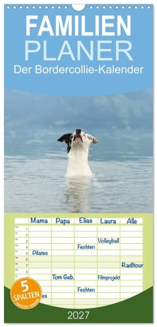Familienplaner 2027 - Der Bordercollie-Kalender mit 5 Spalten (Wandkalender, 21 x 45 cm) CALVENDO - Kathrin Köntopp