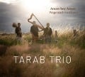Cover-Bild zum Titel 'Wege nach Kurdistan' von 'Tarab Trio'