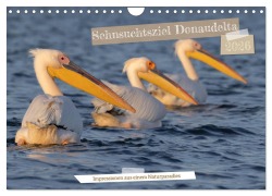 Cover-Bild zum Titel 'Sehnsuchtsziel Donaudelta (Wandkalender 2026 DIN A4 quer), CALVENDO Monatskalender' von 'Ralf Weise'