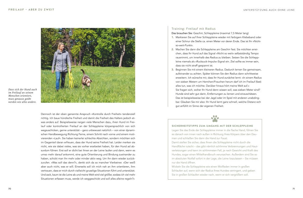 InsideView 5