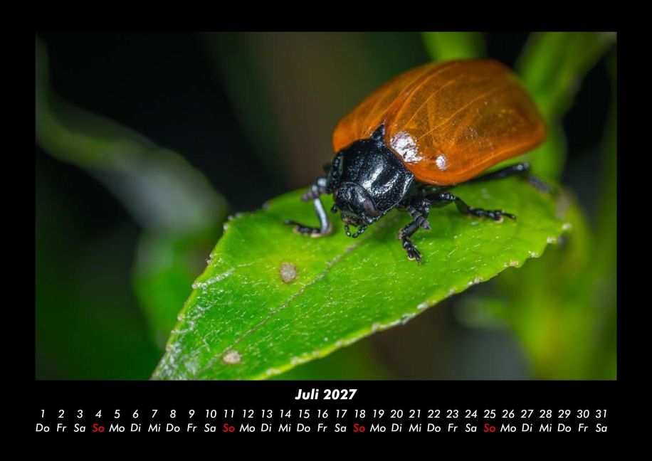 InsideView 11