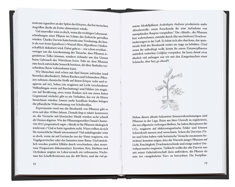 InsideView 5