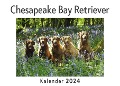 Cover-Bild zum Titel 'Chesapeake Bay Retriever (Wandkalender 2024, Kalender DIN A4 quer, Monatskalender im Querformat mit Kalendarium, Das perfekte Geschenk)' von 'Anna Müller'