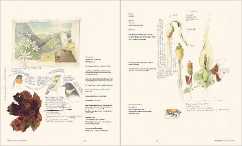 InsideView 4